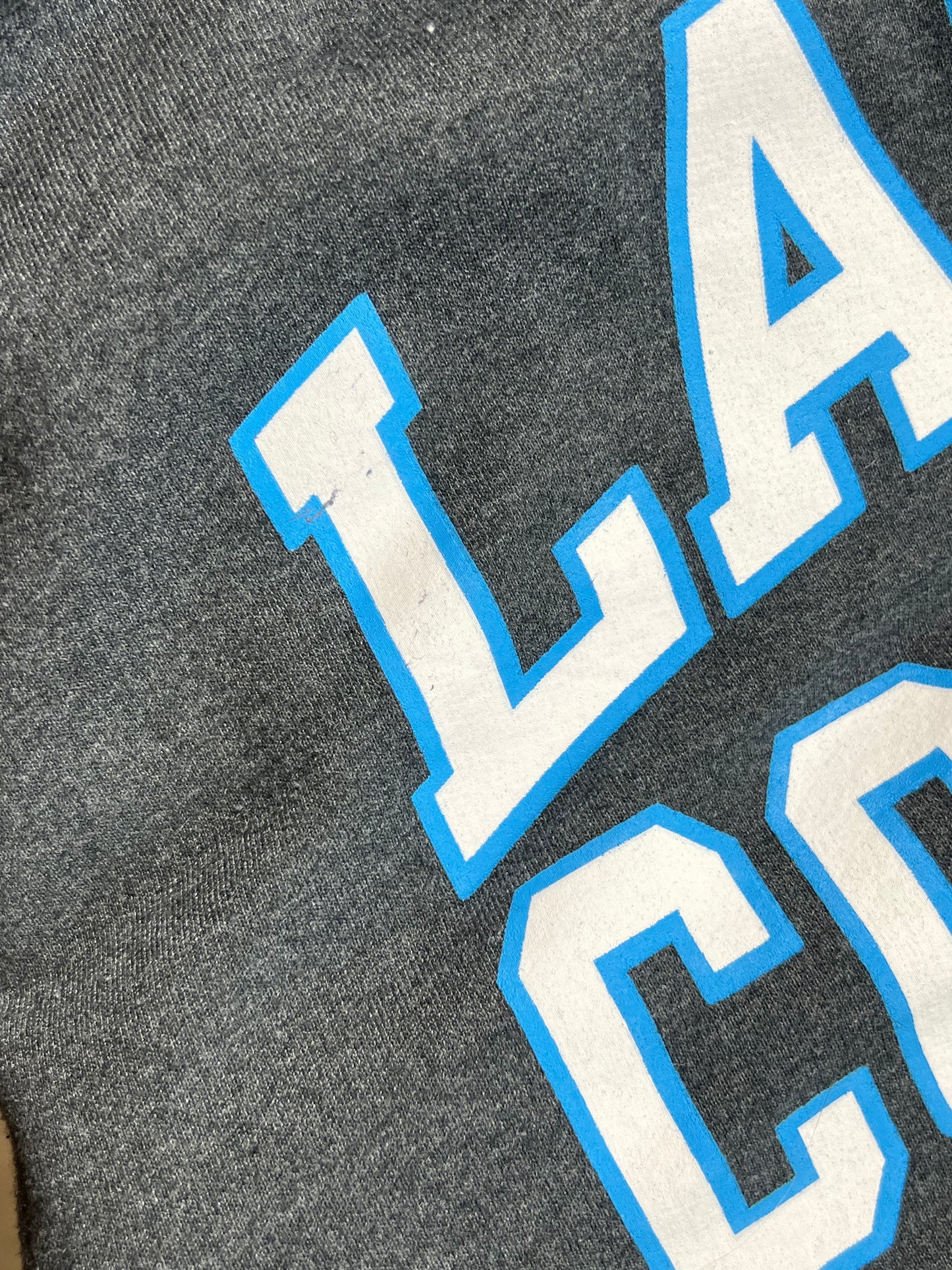 GREY VINTAGE CHAMPION USA VARSITY LASELL COLLEGE HOODIE (XL)