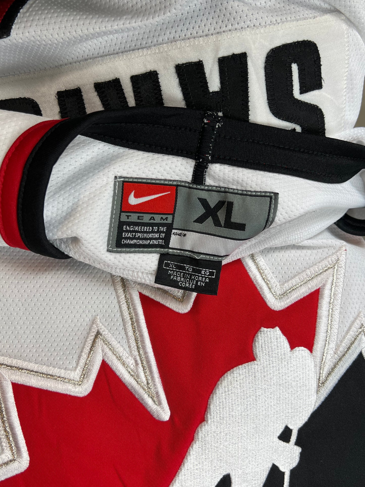 RARE VINTAGE TEAM NIKE x 2002 OLYMPICS TEAM CANDA JOE SAKIC 91 ICE HOCKEY JERSEY (JOE MADE THE GOLD MEDAL GOAL VS USA) (XLARGE)
