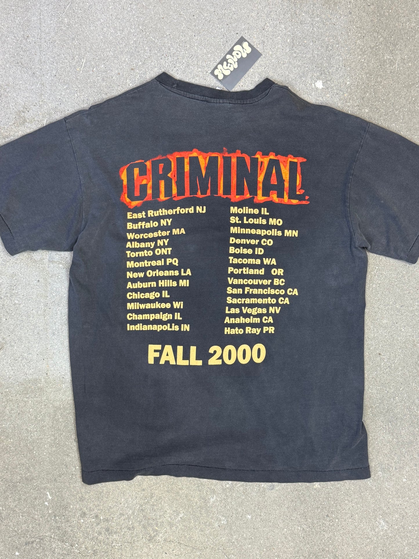 Fall 2000 Eminem Slim Shady Criminal Tour Tee Tultex Preshrunk tag Single stitch (XL) Rap Tee