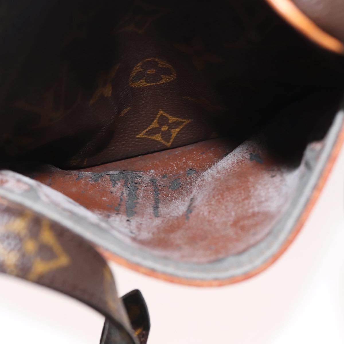 LOUIS VUITTON Monogram Danube Shoulder Bag